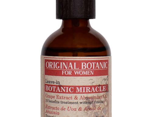 Tratamiento 10 acciones leave-in